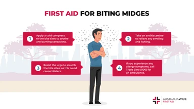 Infographic on First Aid for Biting Midges